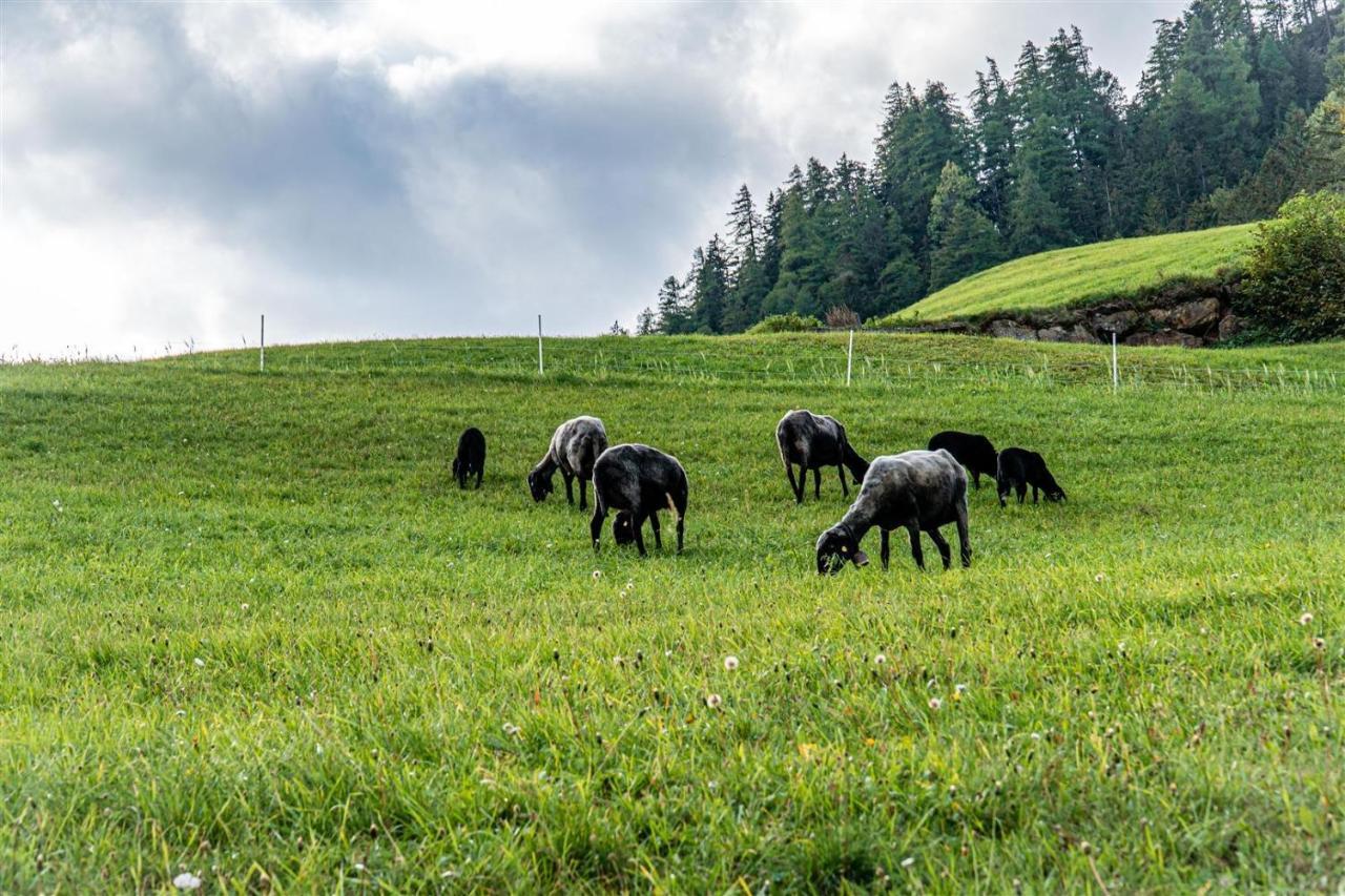 Zoeschgenhof Διαμέρισμα Matrei in Osttirol Εξωτερικό φωτογραφία